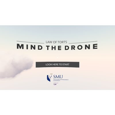 Mind the Drone
