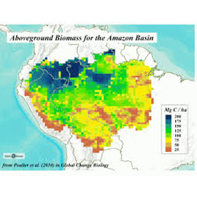 The Amazon Basin in Transition