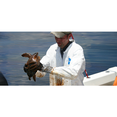 Introduction to Microbiology