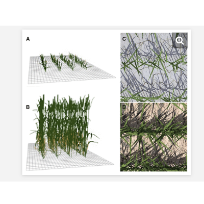 Simulation Modeling icon