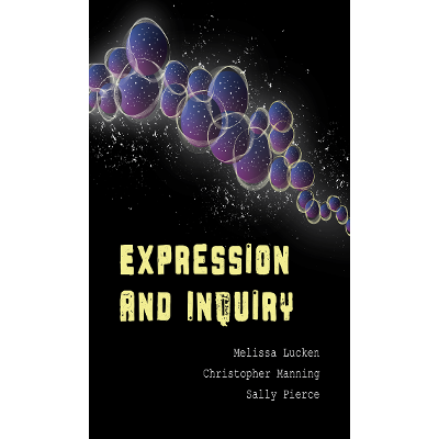 Expression and Inquiry icon