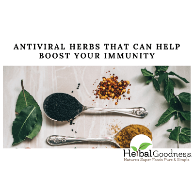 Antiviral Herbs That Can Help Boost Your Immunity | Herbal Goodness icon