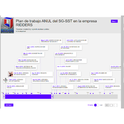 Plan de trabajo ANUL del  SG-SST en la empresa RIDDERS timeline. icon