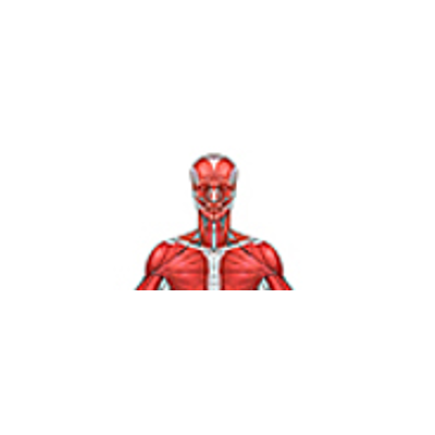 Anatomy and Physiology