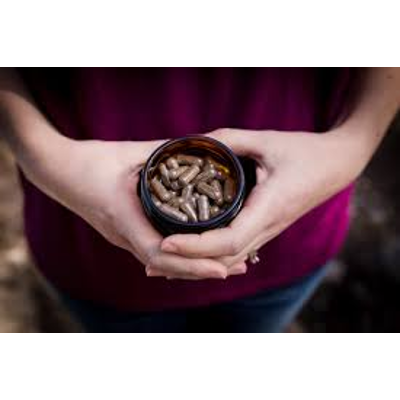 Postpartum Mothers and Placentophagia icon