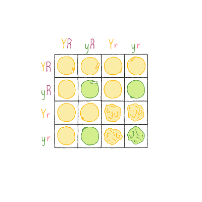 The Laws of Inheritance: A Journey from Mendelâs Abbey to Iceland icon