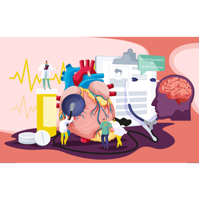 RLO: Neural Regulation of Cardiac Function. icon