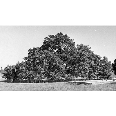 Hampton University at 150: Mission still holds through growth, progress