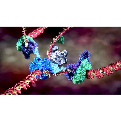 Your Body's Molecular Machines icon