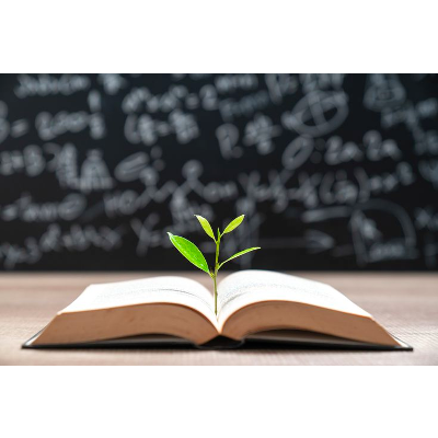 Leadership in Early Education in Times of Change ... - OAPEN