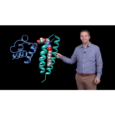 Mitochondria: The Fuel and the Fire