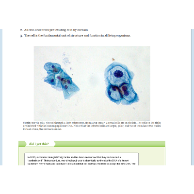 Introduction to Biology - 130S