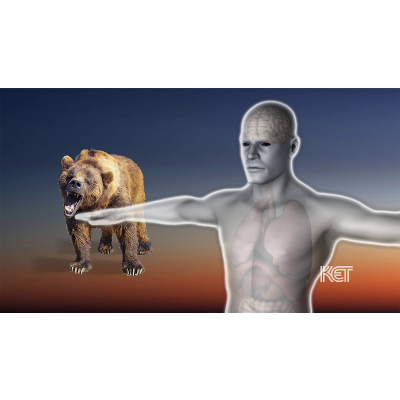 The "Fight or Flight" System | Healing Childhood Trauma | KET icon