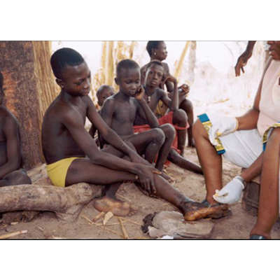 Culture, Politics, and Community: Living Public Health in Nigeria icon