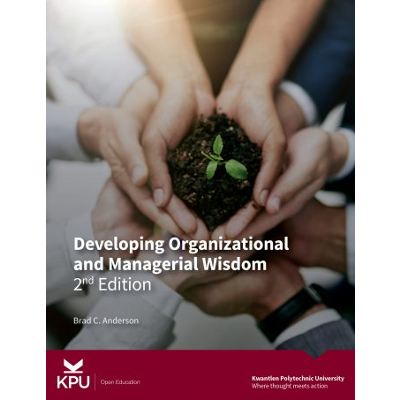 Developing Organizational and Managerial Wisdom 2nd Edition icon