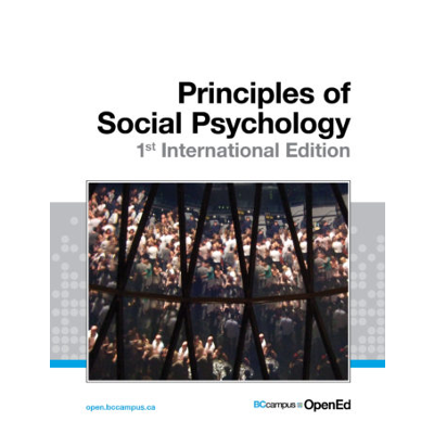 Principles of Social Psychology - 1st International Edition icon