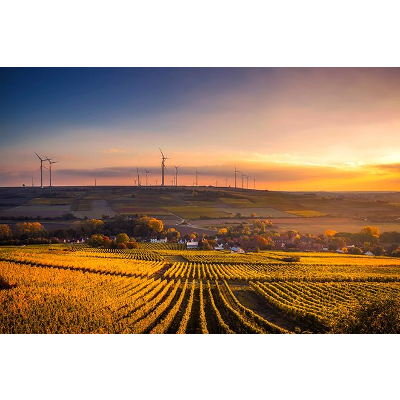 Human Use of the Environment (GEOG 430) icon