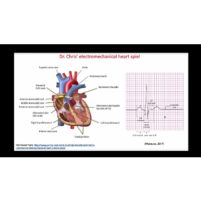 Dr. Chris' Electromechanical Heart Spiel