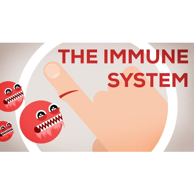 The Immune System Explained I – Bacteria Infection icon