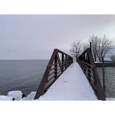 Designed to Align: Creating Intentional and Accessible Curricula