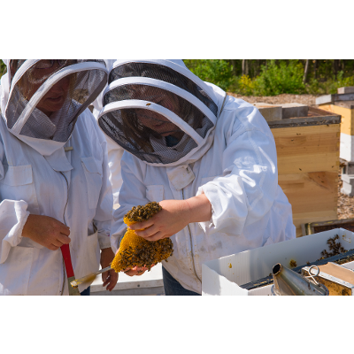 Learning by Doing: Postsecondary Experiential Education icon