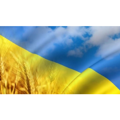 Appeal of Ukrainian Library Association icon