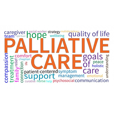 Interactive Online Continuing Education for Nurse Professionals