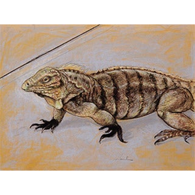 The Anthropology of Politics: Persuasion and Power icon