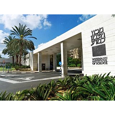 Israel: History, Politics, Culture, Identity icon