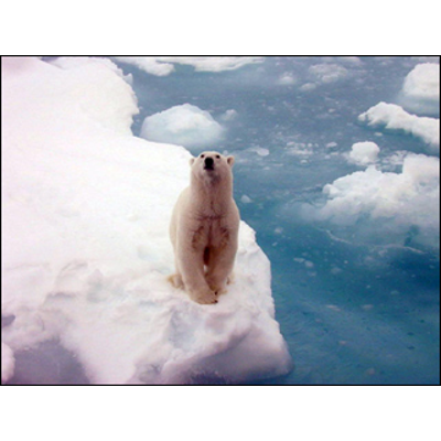 Global Warming Science icon