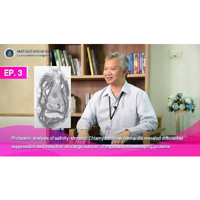 Proteomic analysis of salinity-stressed Chlamydomonas reinhardtii revealed differential suppression and induction of a large number of important housekeeping proteins