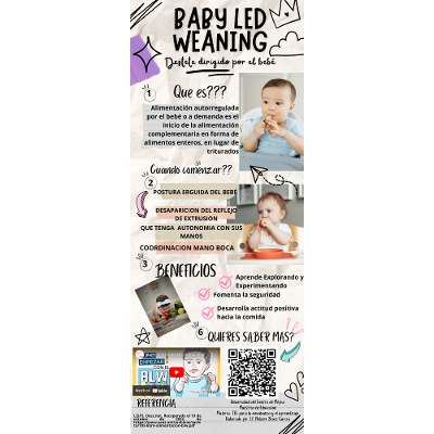 ALIMENTACION BABY LED WEANING