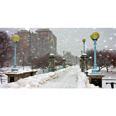 Sink or SWIM: Case Study icon