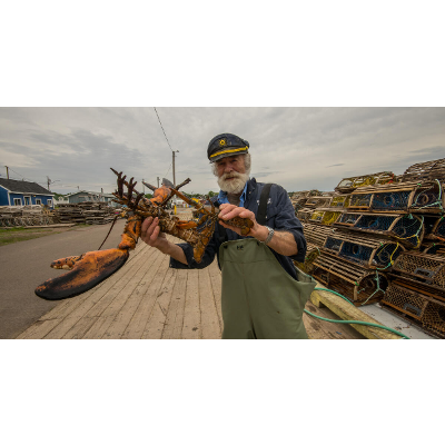 "Lobster 207" Case Study icon