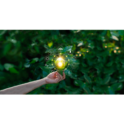 The Climate Action Simulation: A Climate and Energy Policy Negotiation Game icon