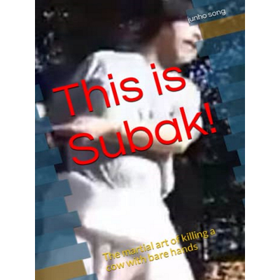 Understanding Korean Traditional Martial Arts