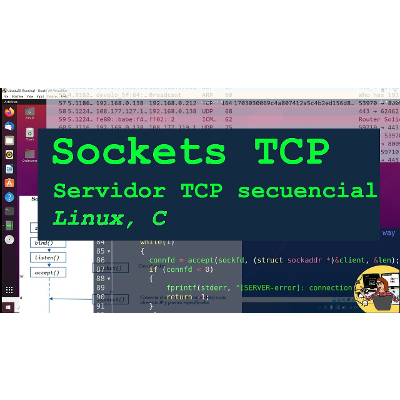 Sockets TCP, Linux, C:  Ejemplo servidor secuencial . Breve teoría. icon