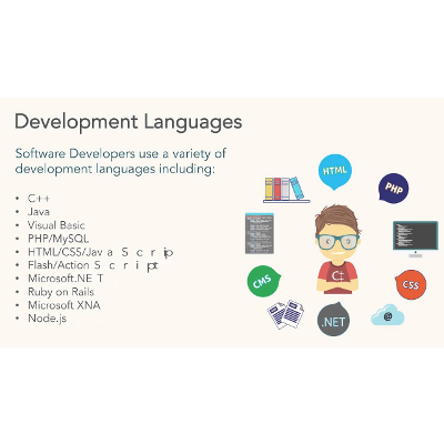 What is Software Development icon