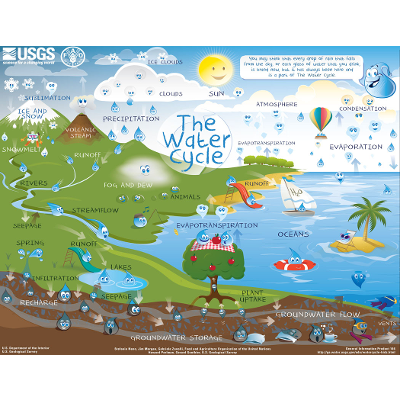 Interactive Water Cycle Diagram for Kids (Advanced)