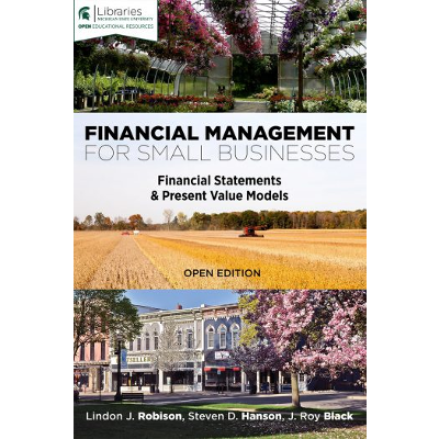 Financial Management for Small Businesses: Financial Statements and Present Value Models icon