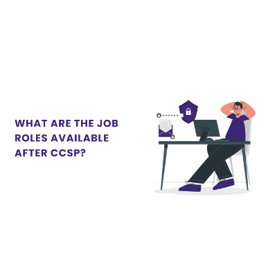 What are the job roles available after CCSP? icon