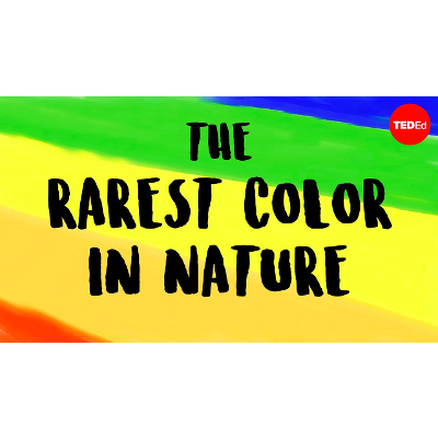 What is the rarest color in nature? icon