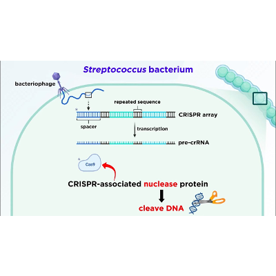 CRISPR-Cas9 Genome Editing Technology