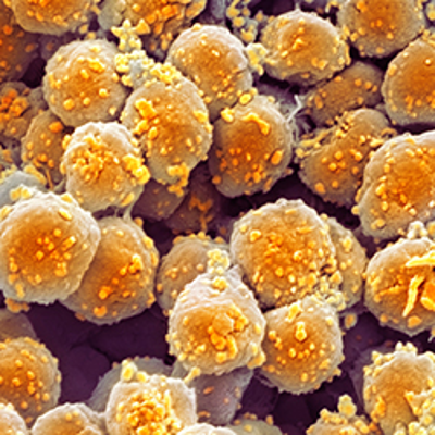 Archaea | What is microbiology? icon