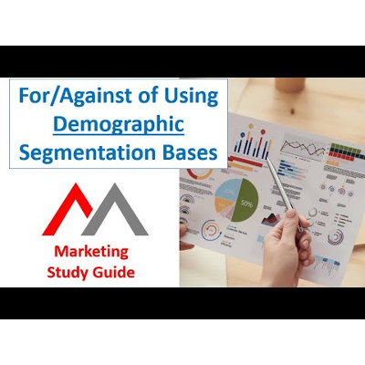 Demographic Segmentation Bases icon