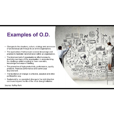 Demystifying Organisational Development (O.D.) icon