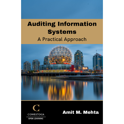 Auditing Information Systems icon