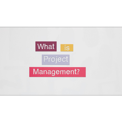 What is project management?