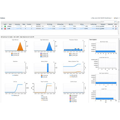 Gestión proactiva del rendimiento de bases de datos icon