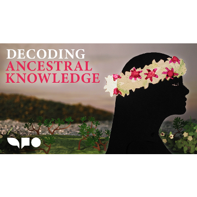 Nitrogen Cycling by Microbes in Native Hawaiian Culture &bull; iBiology icon